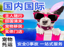 榆林榆阳机场托运国际宠物托运 【国